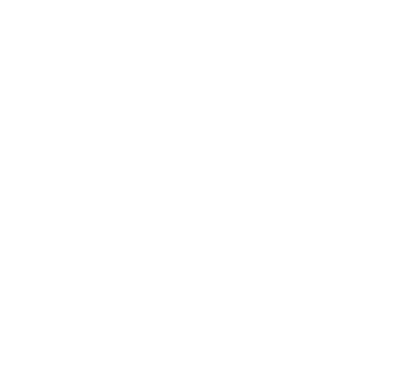 mediterraneoenvivo